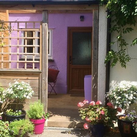 Cute Self-Contained Guest Room With Ensuite And Private Decked Porch In 格拉斯顿伯里 外观 照片